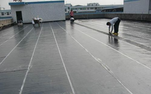 如何鑒定防水卷材和防水涂料的質(zhì)量？簡單幾招保障防水效果
