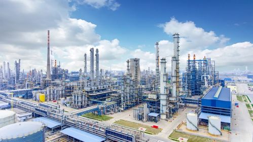 青島峰會(huì)特別報(bào)道 民營(yíng)經(jīng)濟(jì)的“濱州闖勁”與“常德智慧”